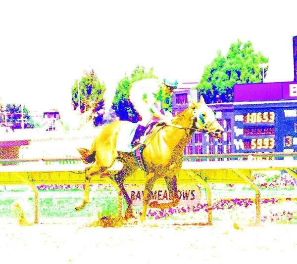 Horse Race Art Print featuring the photograph Bay Meadows by Cynthia Marcopulos