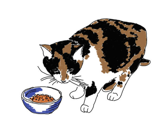  Art Print featuring the drawing Cat And Kibble by Daniel Reed