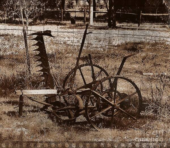 Australia Art Print featuring the photograph Old Farm Equipment by Blair Stuart