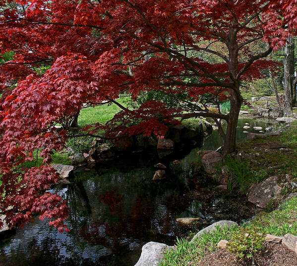 Maymont Art Print featuring the photograph Peaceful Park by Karen Harrison Brown