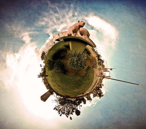 Stereographic Art Print featuring the photograph Planet Lioness by Natasha Bishop