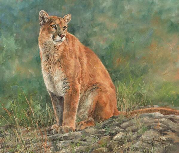 Mountain Lion Art Print featuring the painting Mountain Lion #1 by David Stribbling
