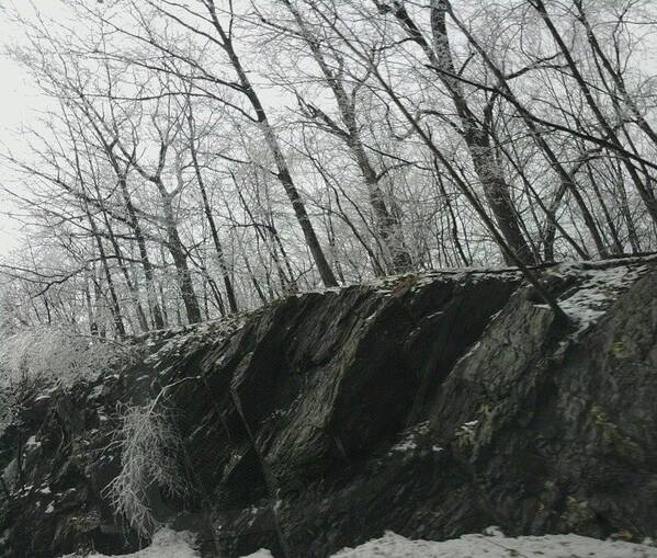 Snow Art Print featuring the photograph Out of the Rocks #1 by Ellen Levinson