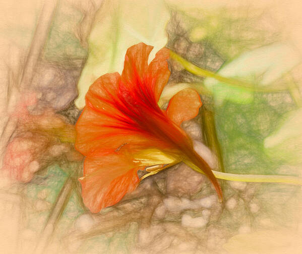 Artistic Art Print featuring the photograph Artistic red and orange by Leif Sohlman
