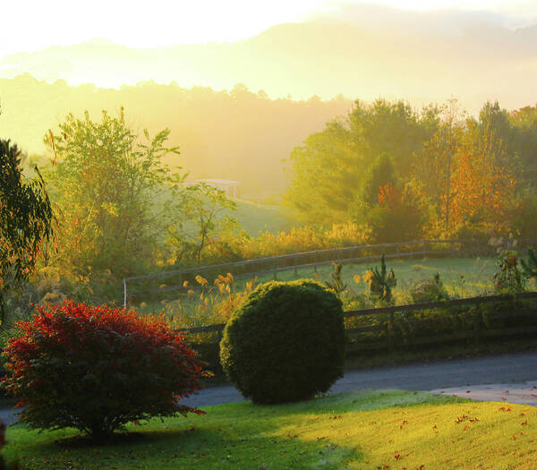 Asheville Art Print featuring the photograph Autumn in The Smokey Mountains by Rod Whyte