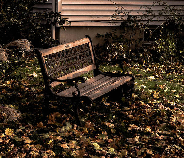 Bench Art Print featuring the photograph Autumnal Solace by Leon deVose