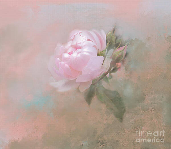 Ethereal Rose Art Print featuring the digital art Ethereal Rose by Victoria Harrington