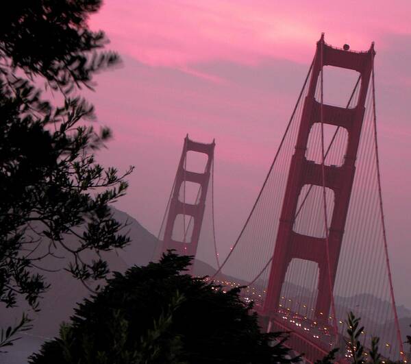 Golden Gate Bridge Art Print featuring the photograph Golden Gate Pink Moment by Elizabeth Hoskinson