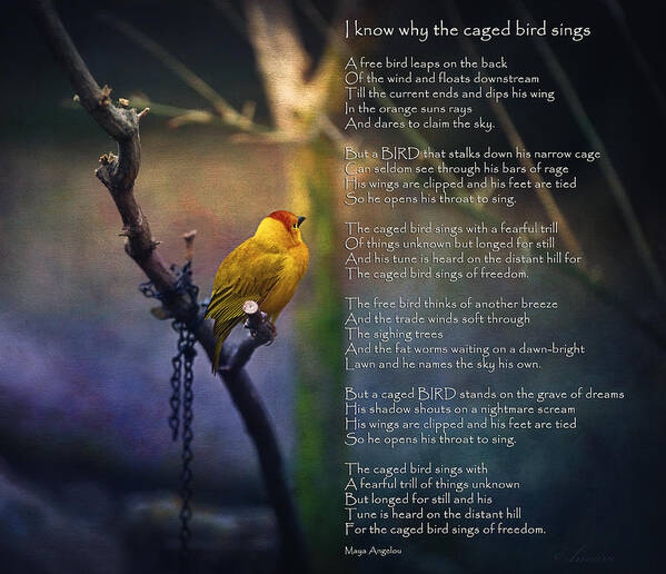 Poem Art Print featuring the photograph I Know Why the Caged Bird Sings By Maya Angelou by Maria Angelica Maira