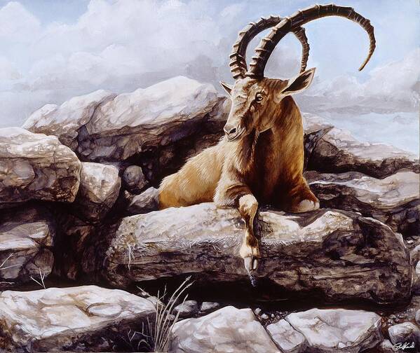 Wildlife Art Art Print featuring the painting Ibex by Steve Goad