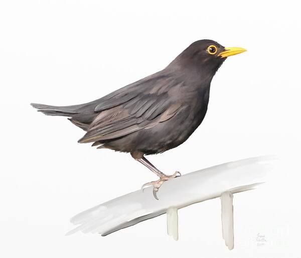Painting Art Print featuring the painting Ms. Blackbird is Brown by Ivana Westin