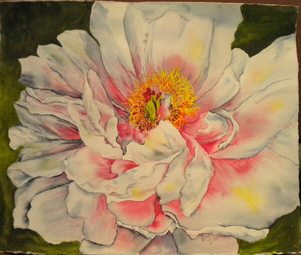 Floral Art Print featuring the painting Peony by Diane Ziemski
