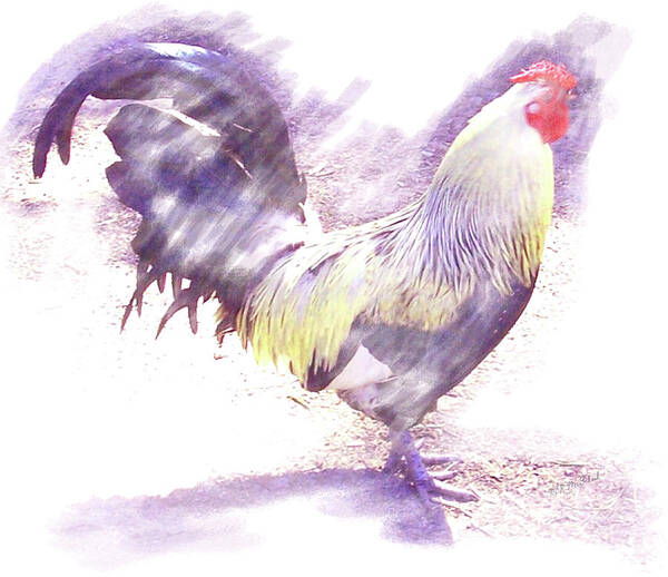 Fowl Art Print featuring the photograph Rooster Purple by Barbara MacPhail