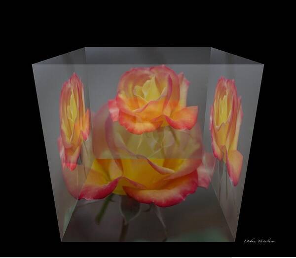 Rose Blocklovely Looking Flower Art Print featuring the photograph Rose Block by Debra   Vatalaro