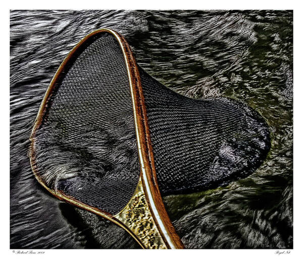 Fishing Art Print featuring the photograph Royal Net by Richard Bean