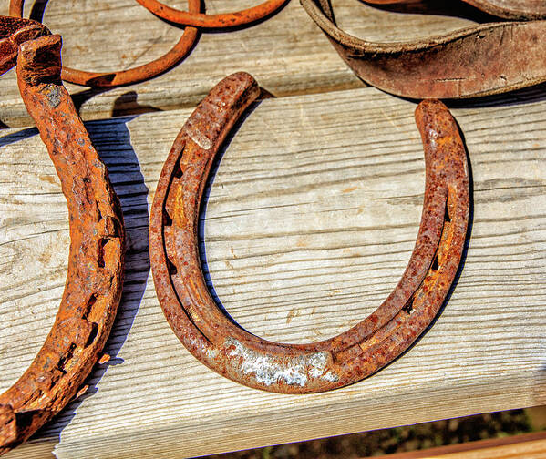 Architecture Art Print featuring the photograph Rusty Horseshoes Found by Curators of the Ghost Town of St. Elmo by Peter Ciro