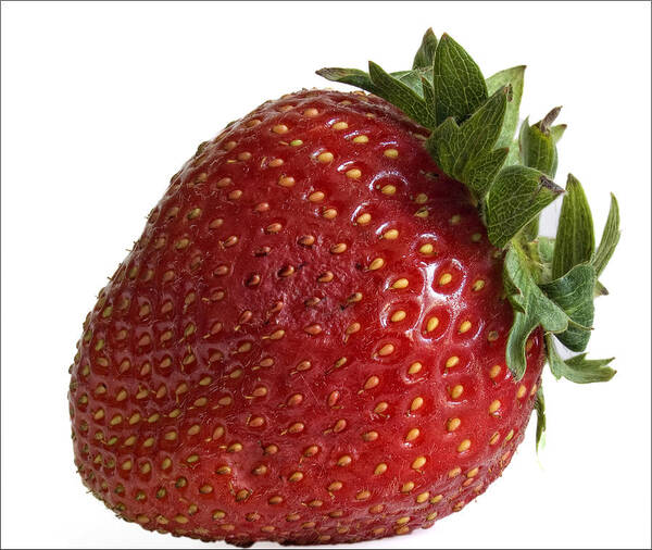 Fruit Art Print featuring the photograph Strawberry by Robert Ullmann