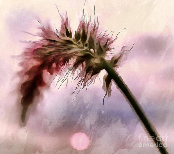 Wheatgrass Art Print featuring the photograph Summer Solitude by Krissy Katsimbras