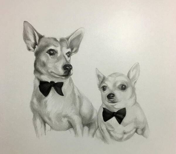 Pets Art Print featuring the drawing The Boys by Lori Ippolito