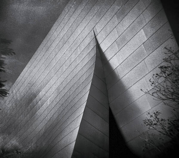 Architecture Art Print featuring the photograph Walt Disney Concert Hall 1 by Denise Dube