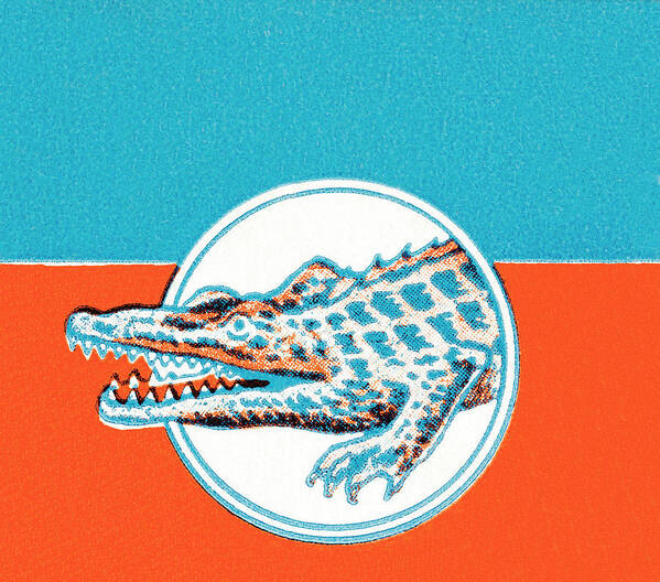 Alligator Art Print featuring the drawing Alligator #12 by CSA Images