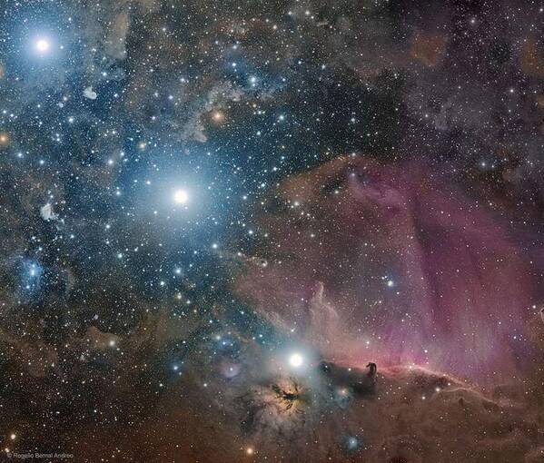 Cosmos Art Print featuring the painting Orion Belt, Flame, and Horsehead #2 by Celestial Images