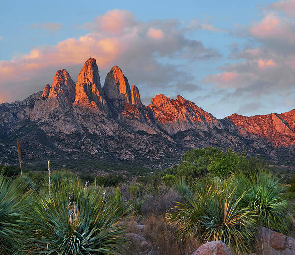 00557650 Art Print featuring the photograph Organ Moutains, Aguirre Spring by Tim Fitzharris