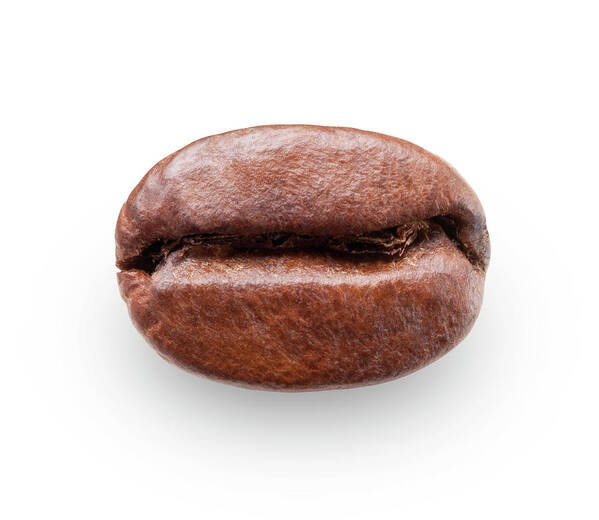 White Background Art Print featuring the photograph Coffee Bean by Malerapaso