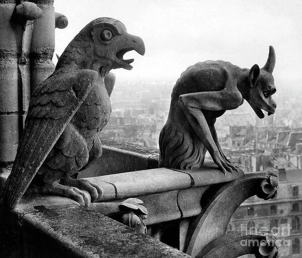 Gargoyle Art Print featuring the photograph Detail of monstrous figures, depicting a bird and a monster by French School