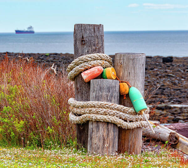 Canada Art Print featuring the photograph Fishing Floats by Lenore Locken