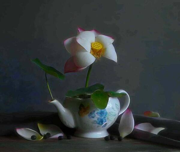 Pink Art Print featuring the photograph Lotus In Teapot by Fangping Zhou