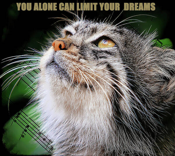 Cat Art Print featuring the digital art No Limit On Your Dreams by Michelle Liebenberg