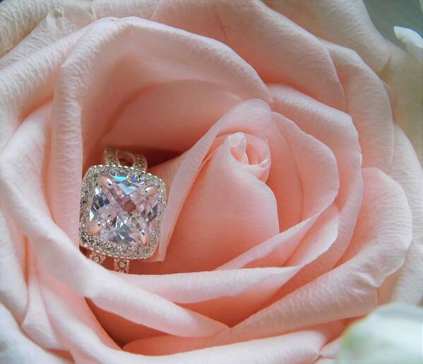 - Pink Rose And Diamond Art Print featuring the photograph - Pink Rose and Diamond by THERESA Nye
