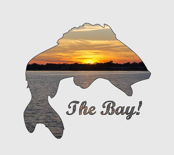 2d Art Print featuring the photograph The Bay by Brian Wallace