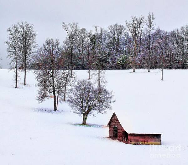 Snow Art Print featuring the photograph All is calm... by Rick Lipscomb