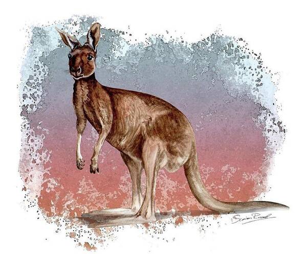 Art Art Print featuring the painting Australian Red Kangaroo by Simon Read