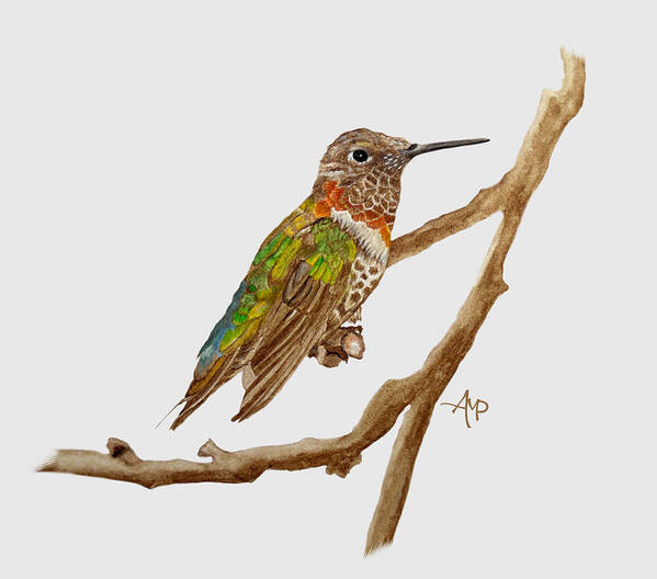 Hummingbird Art Print featuring the painting Bright Colored Hummingbird by Angeles M Pomata