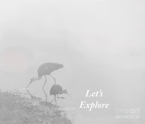 Black And White Art Print featuring the mixed media Let's Explore by Sharon Williams Eng