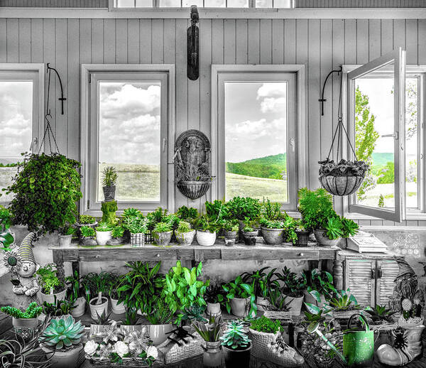 Barns Art Print featuring the photograph Plants in the Vineyard Greenhouse Window Black and White and Gre by Debra and Dave Vanderlaan