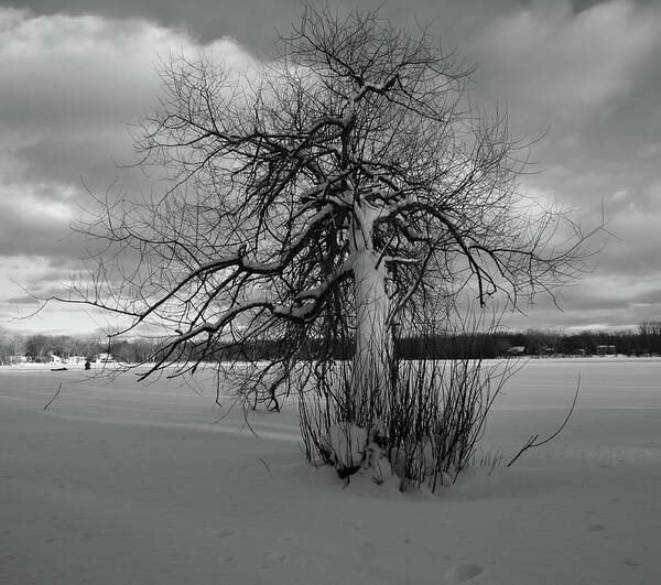 Snow Art Print featuring the photograph The calm after the storm by Carl Marceau