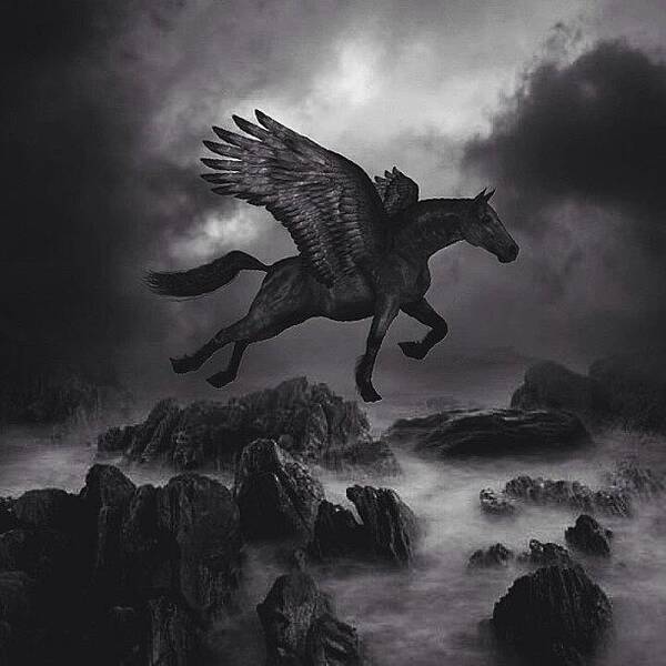  Art Print featuring the photograph // Dark Horse // by Usman Ali