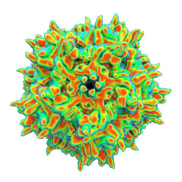 3d Art Print featuring the photograph Adeno-associated Virus #1 by Alfred Pasieka