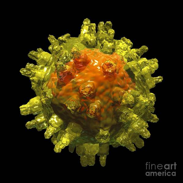 Adeno-associated Virus Art Print featuring the photograph Adeno-associated Virus #1 by Russell Kightley