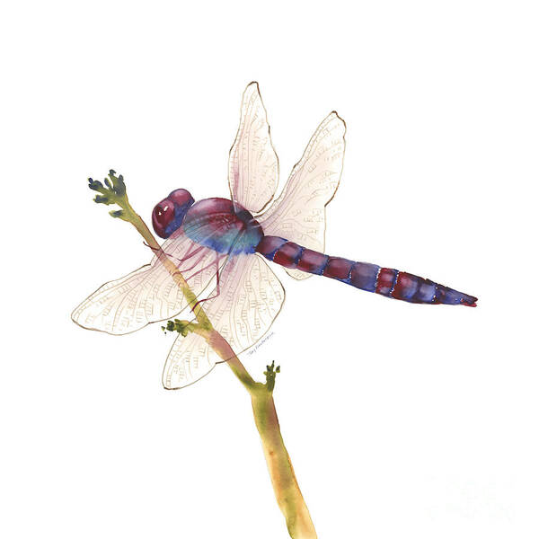 Burgundy Art Print featuring the painting Burgundy Dragonfly #1 by Amy Kirkpatrick