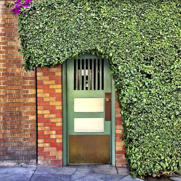  Art Print featuring the photograph Door And Hedge #2 by Julie Gebhardt