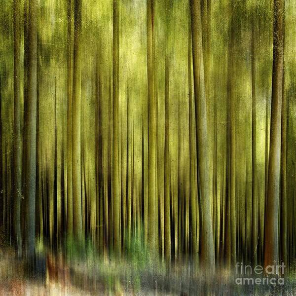 Abstract Art Print featuring the photograph Forest #1 by Bernard Jaubert