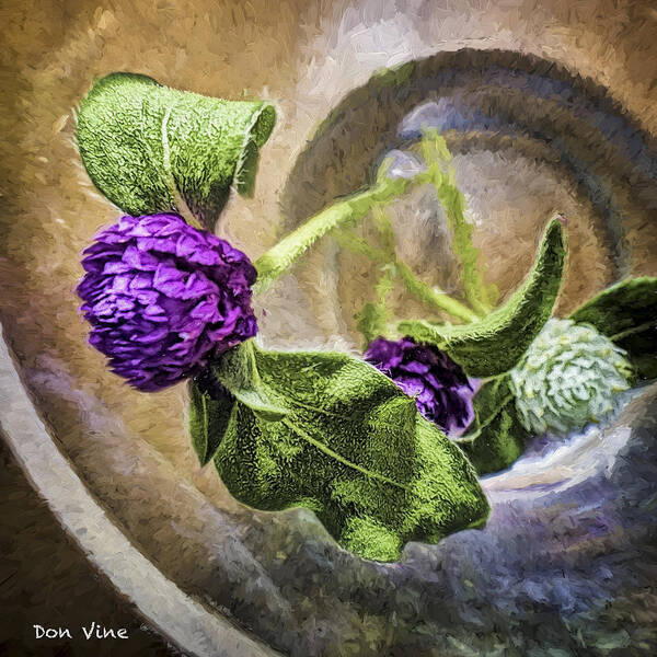 Dayton Art Print featuring the photograph Gomphrena in a Glass #1 by Don Vine