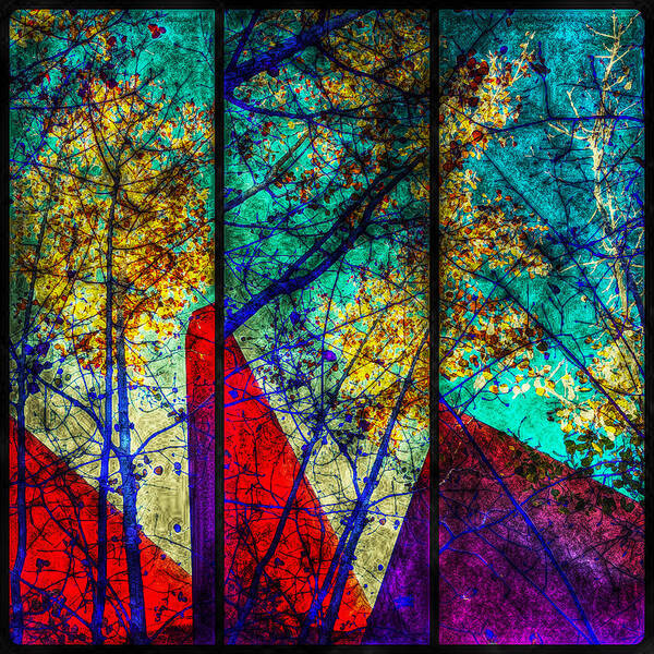 Triptych Art Print featuring the photograph Last Leaves of Fall #1 by Paul Cutright