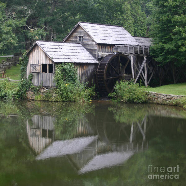 Quiet Art Print featuring the photograph Quiet Reflection by ELDavis Photography