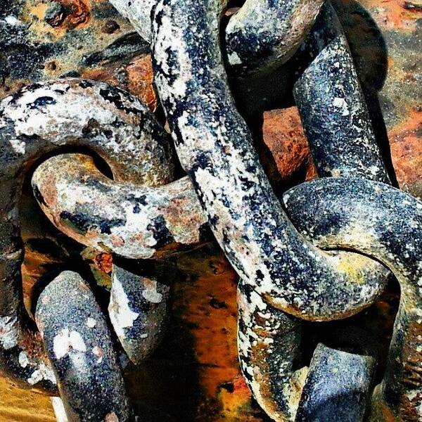  Art Print featuring the photograph Rusty Chain #1 by Elisa Franzetta